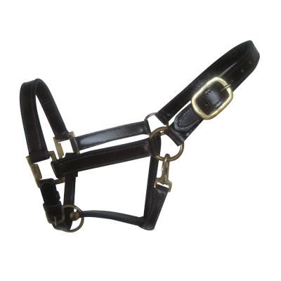 Halters & Reins